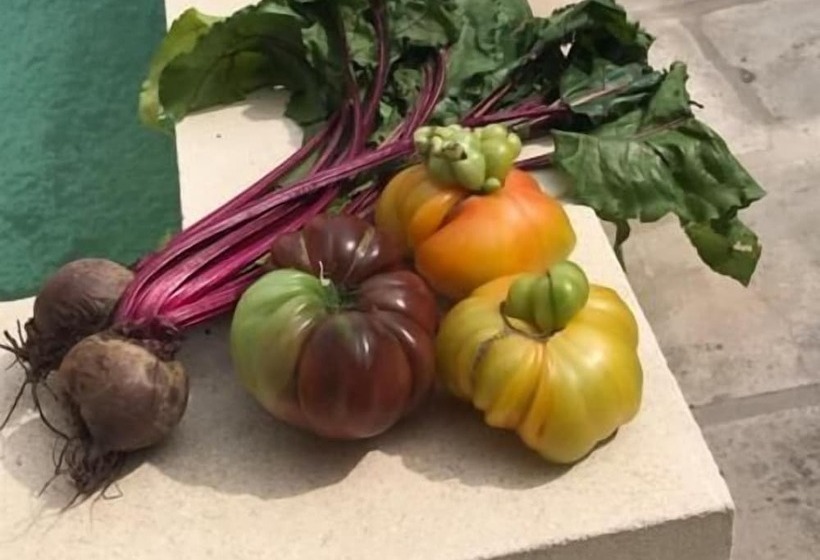 פנסיון La Maison De Cerise