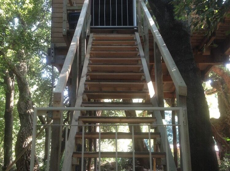 Пансион Les Milles Et Une Nuits