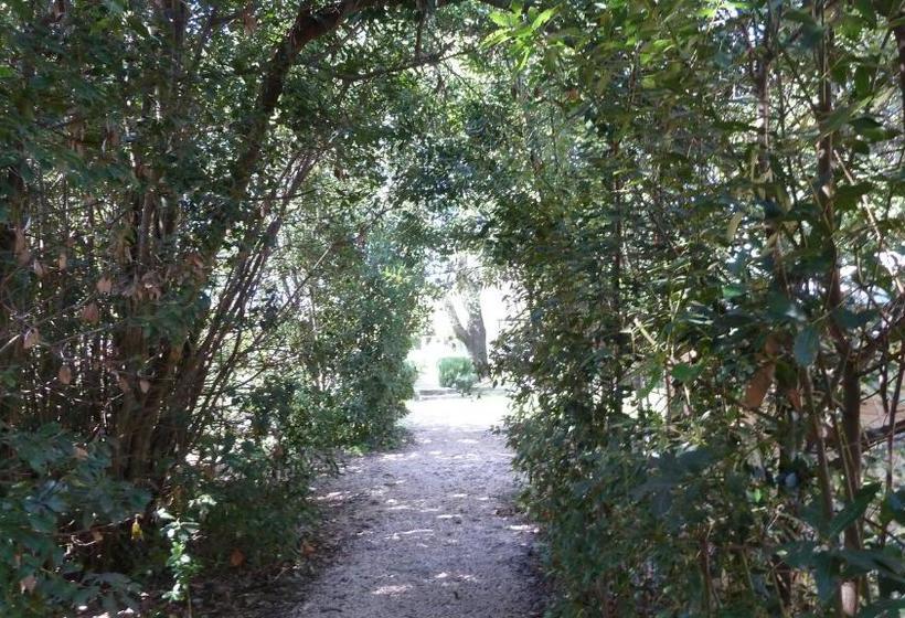 膳宿费 Mas De La Forge