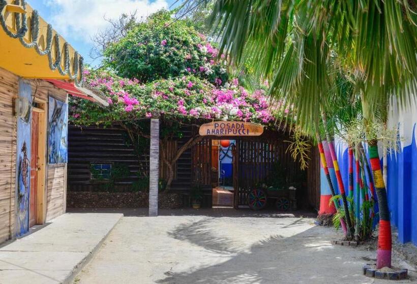 Пансион Posada Amaripucci