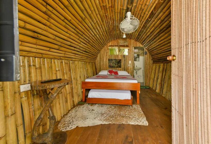 Пансион Posada Amaripucci