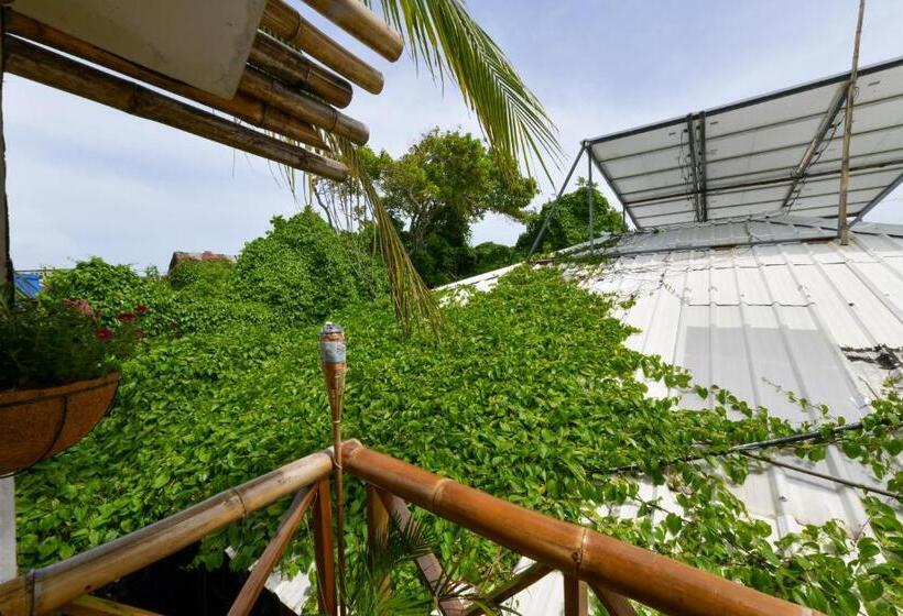 Пансион Posada Amaripucci