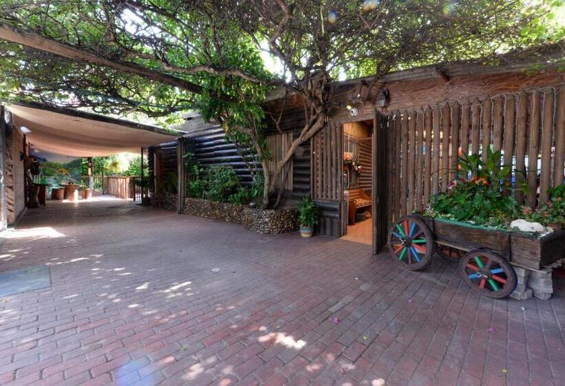 Пансион Posada Amaripucci