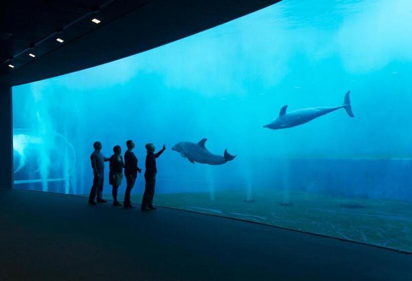 پانسیون Royal Suite