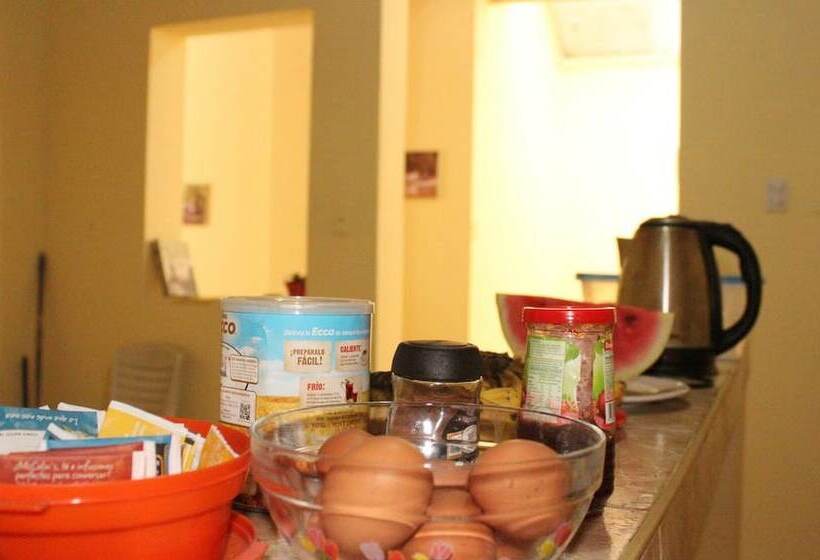 Weills Amazon Backapcker Hostel