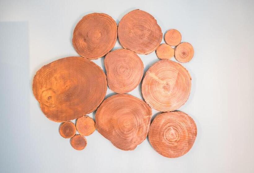 Y.palmela   Boutique Apartments