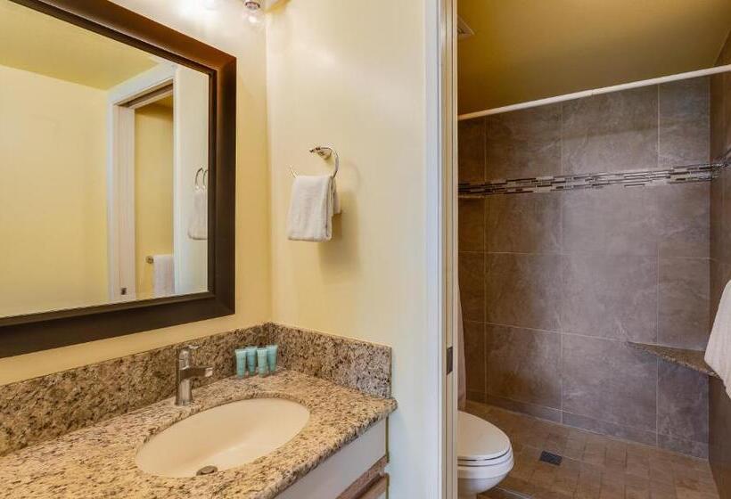 Castle At Maui Banyan