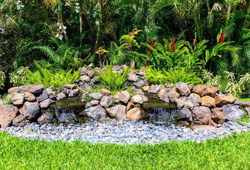 Castle At Maui Banyan