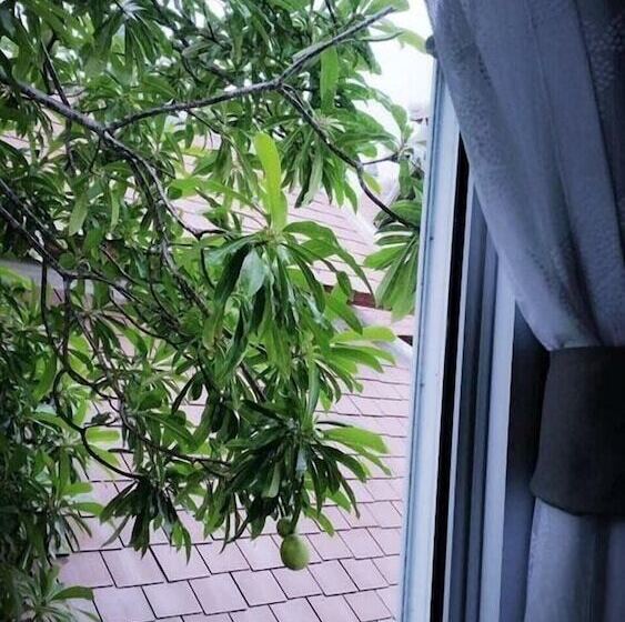 בית מלון כפרי Bc Summer Beach