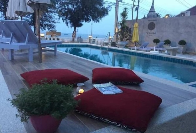 בית מלון כפרי Bc Summer Beach