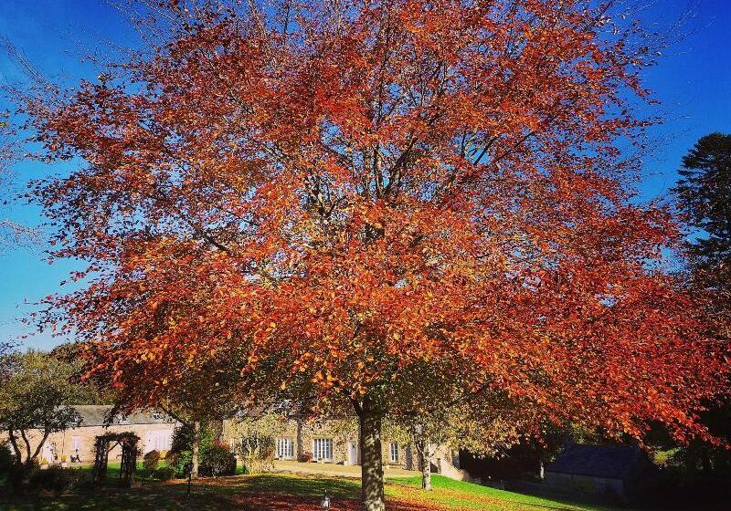 فندق Langley Castle