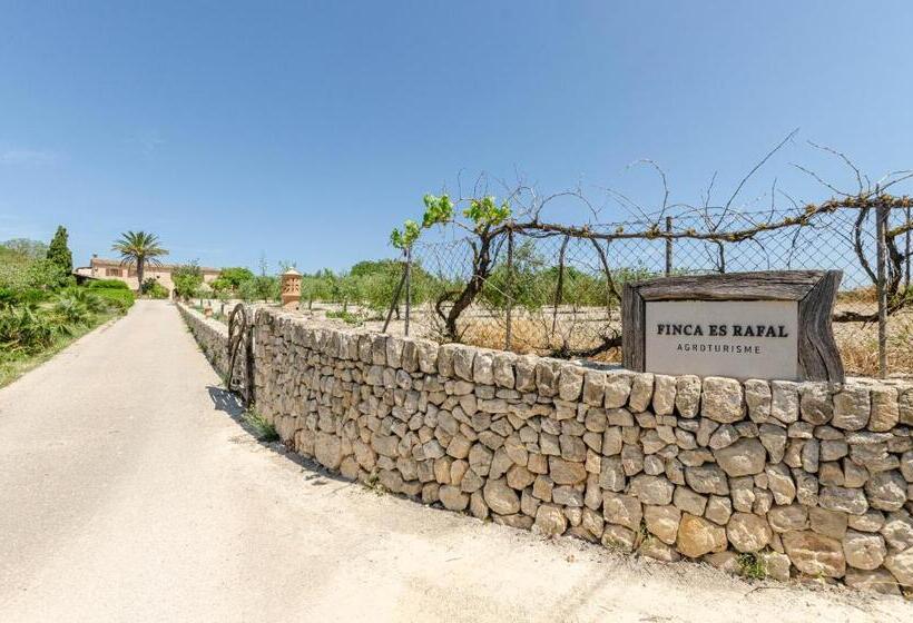 Сельский отель Finca Es Rafal, Agroturisme