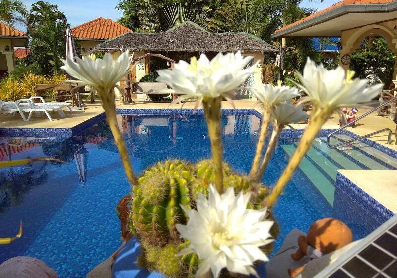 בית מלון כפרי Stella Resort