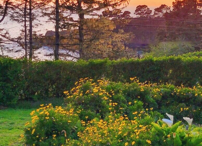 Inn At Buckhorn Cove