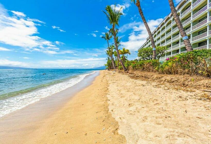 Lahaina Shores