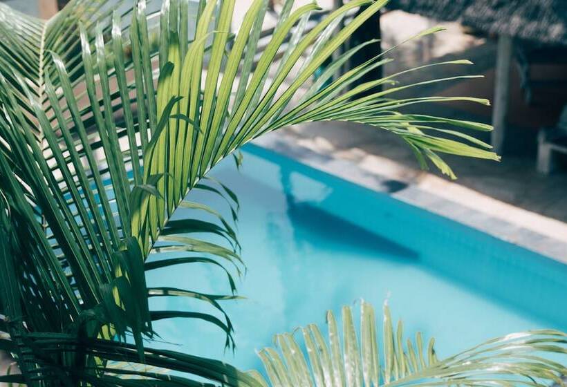 Paje Beach Apartments &