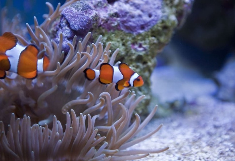 ペンション Hawksmoor Guest House