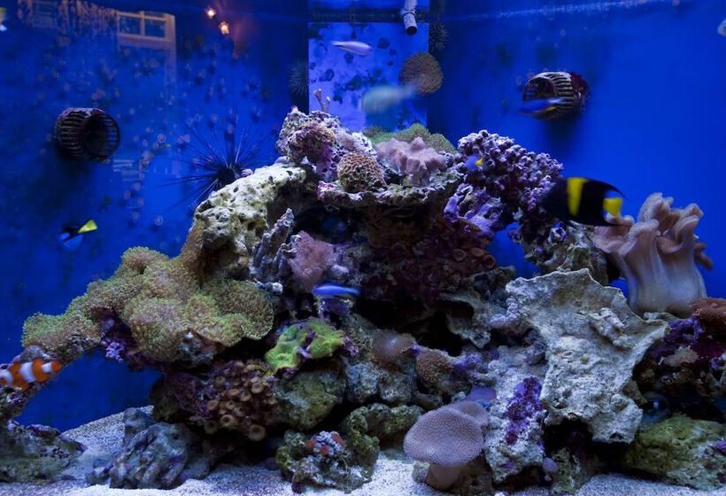 ペンション Hawksmoor Guest House