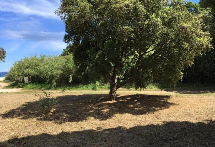 펜션 Le Clos Des Sept Palmiers