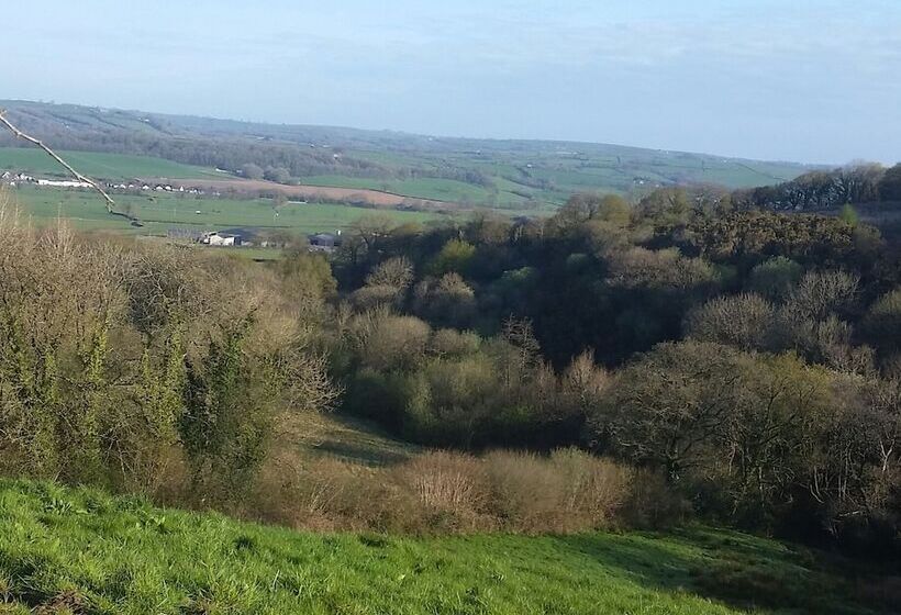 פנסיון Pantysgyfarnog Near Carmarthenshire Pembrokeshire