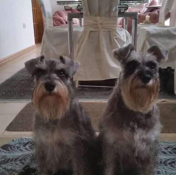 פנסיון Pantysgyfarnog Near Carmarthenshire Pembrokeshire