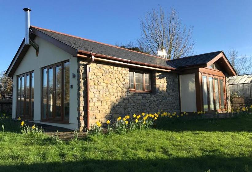 The Anchorage & The Tackleshed