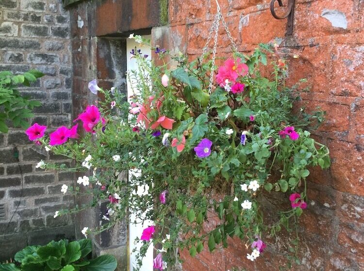 The Old Vicarage B&b