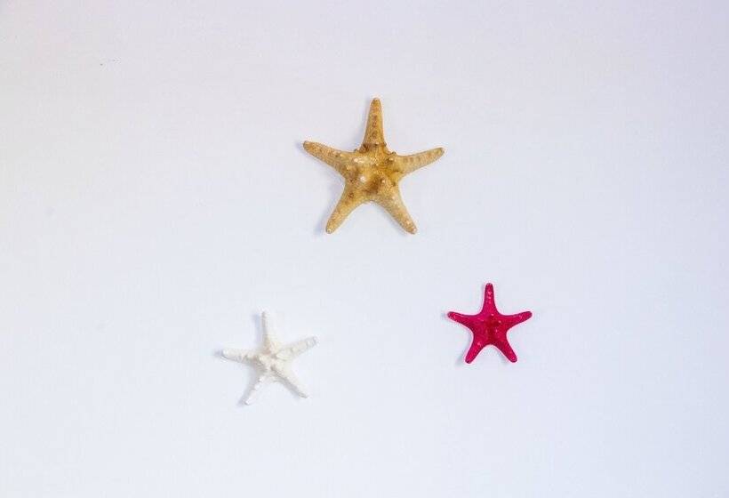 הוסטל Gbh Fuerteventura Paradise Surf Rooms