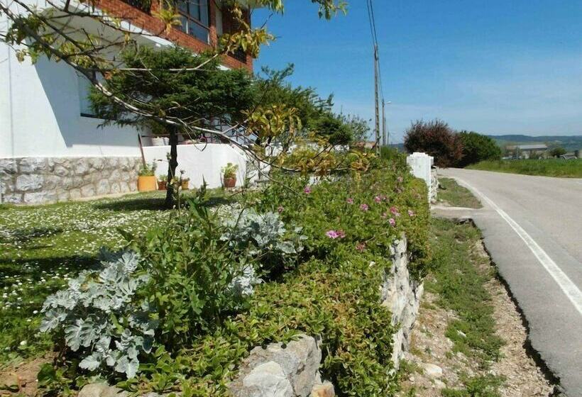 هاستل Liquid Surfhouse