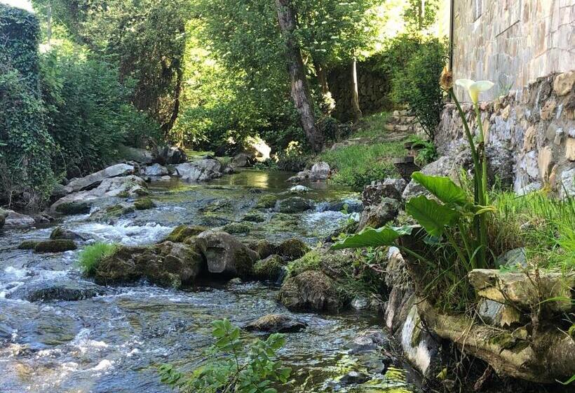 Villa Palatina Superior Hostel