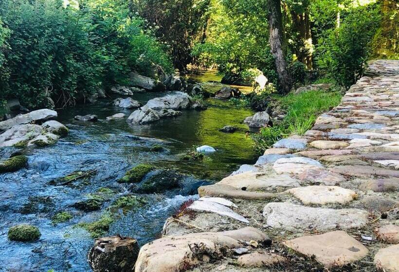 Villa Palatina Superior Hostel