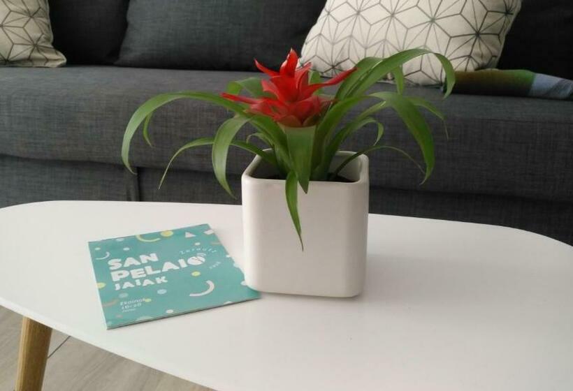 Kaixo Museum Con Parking Gratis