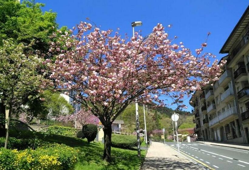 Kaixo Museum Con Parking Gratis