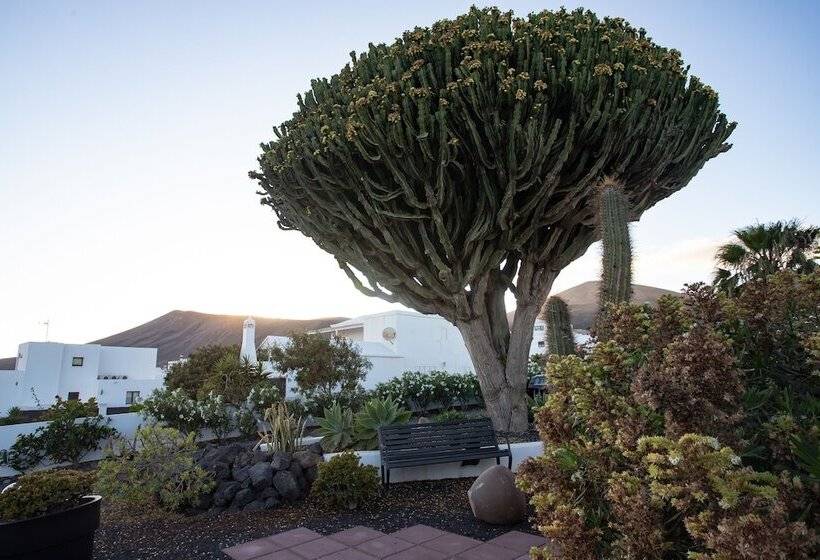 Bed and Breakfast 5 Suites Lanzarote