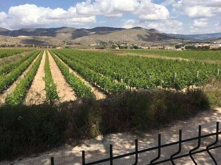 צימר Alegría