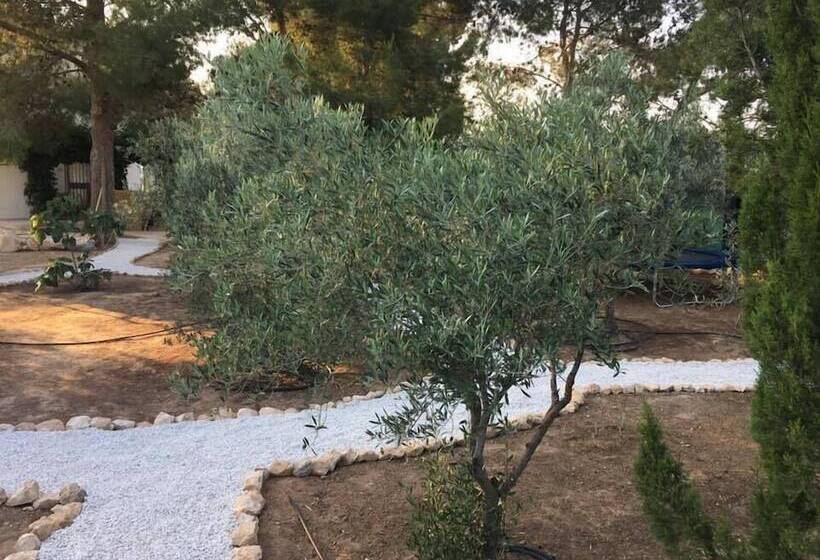 צימר Alegría