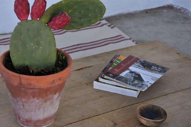 ベッドアンドブレックファースト Casa Almara