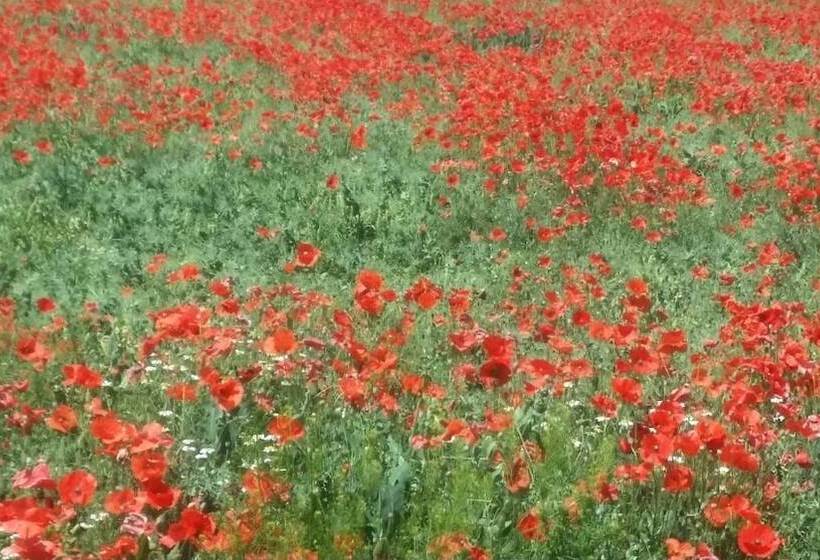 צימר La Casa Dels Ocells