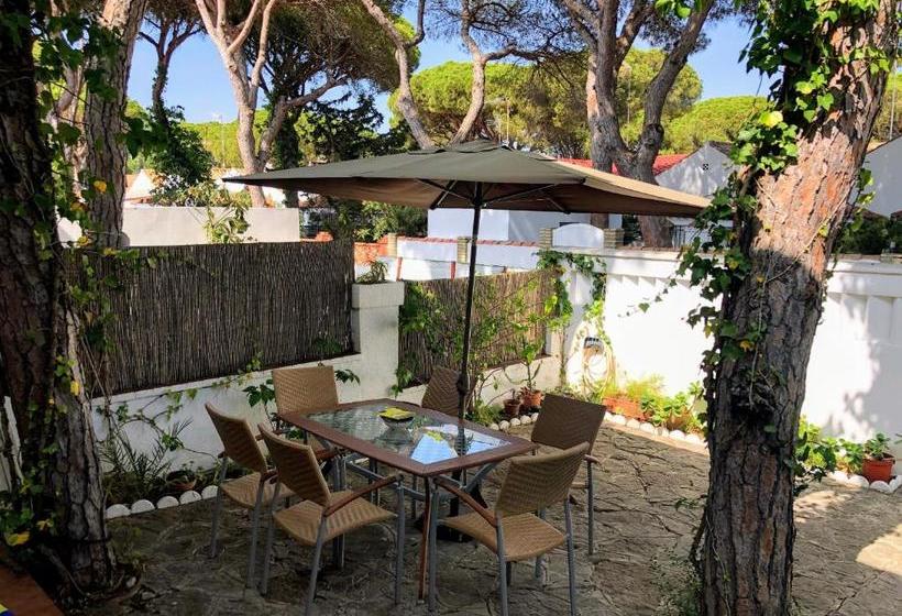 住宿加早餐 Raices Del Sur