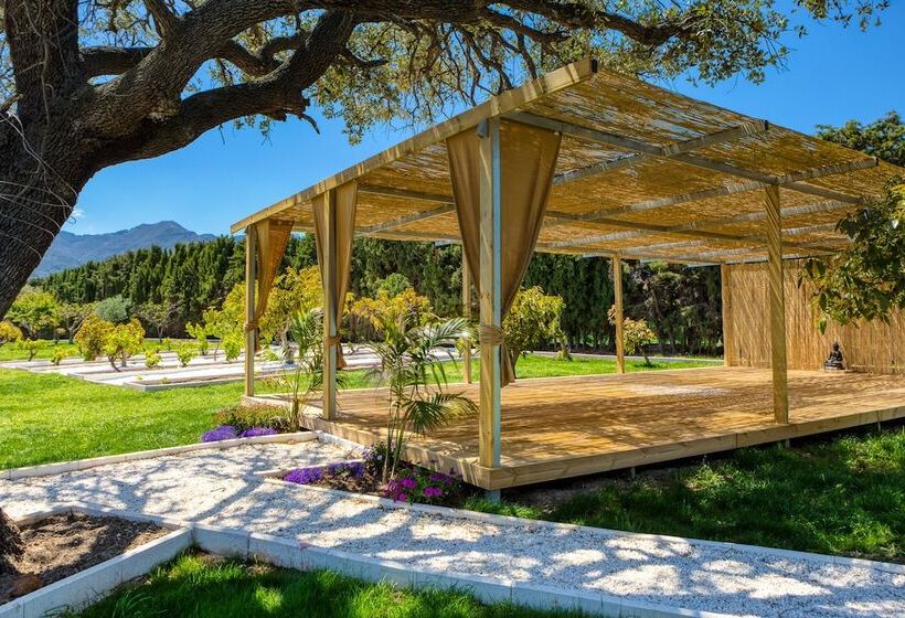 تختخواب و صبحانه The Palms Boutique Resort Málaga   Adults Only