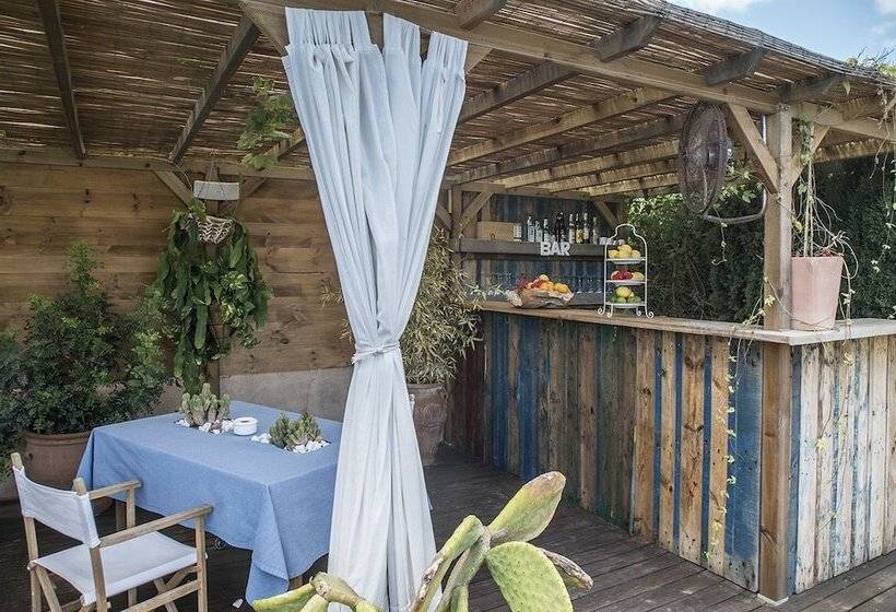 Can Aisha   Adults Only