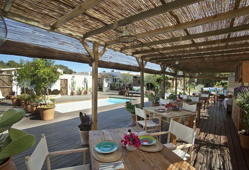 Can Aisha   Adults Only