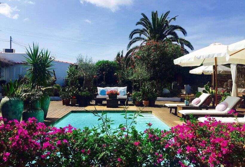 Can Aisha   Adults Only