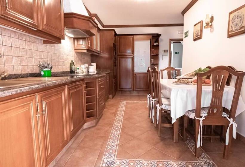 Canary Bio Hostel Tenerife