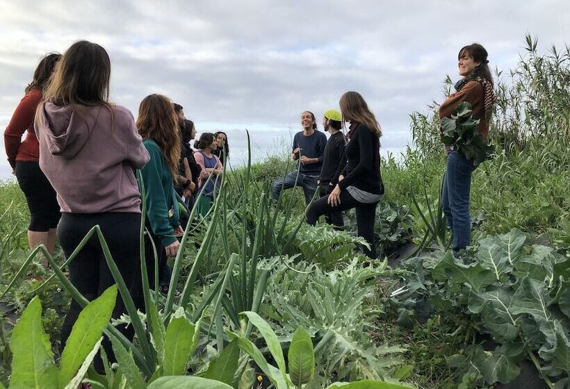 Canary Bio Hostel Tenerife