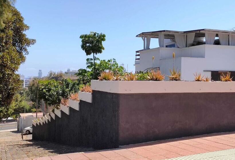 تختخواب و صبحانه Casa Doramas Vv