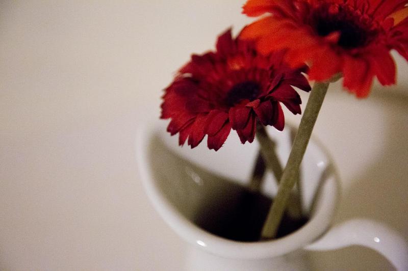 Casa Rural La Fonda Del Castillo