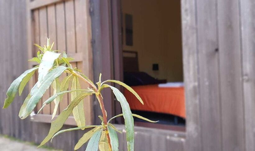 Casas Rurales Cijara