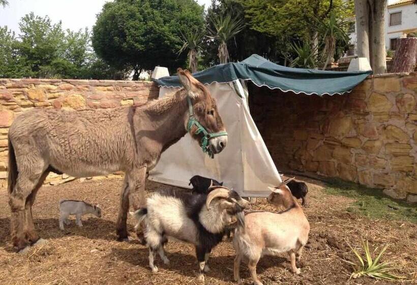 Cortijo Cabañas Apartamentos Rurales