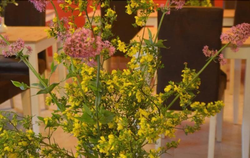 El Almendro Y La Montana